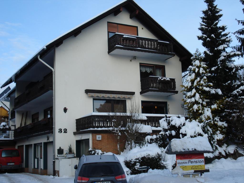 Claudias Wohlfuhlpension Willingen  Exterior photo